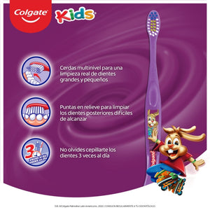 Imagen 5