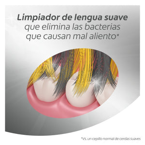 Imagen 5