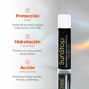 Imagen 2
