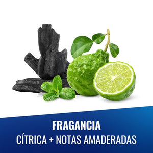 Imagen 5