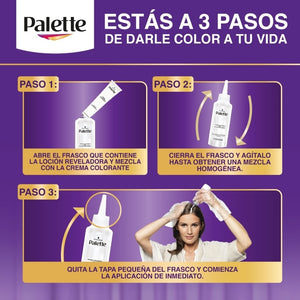 Imagen 2