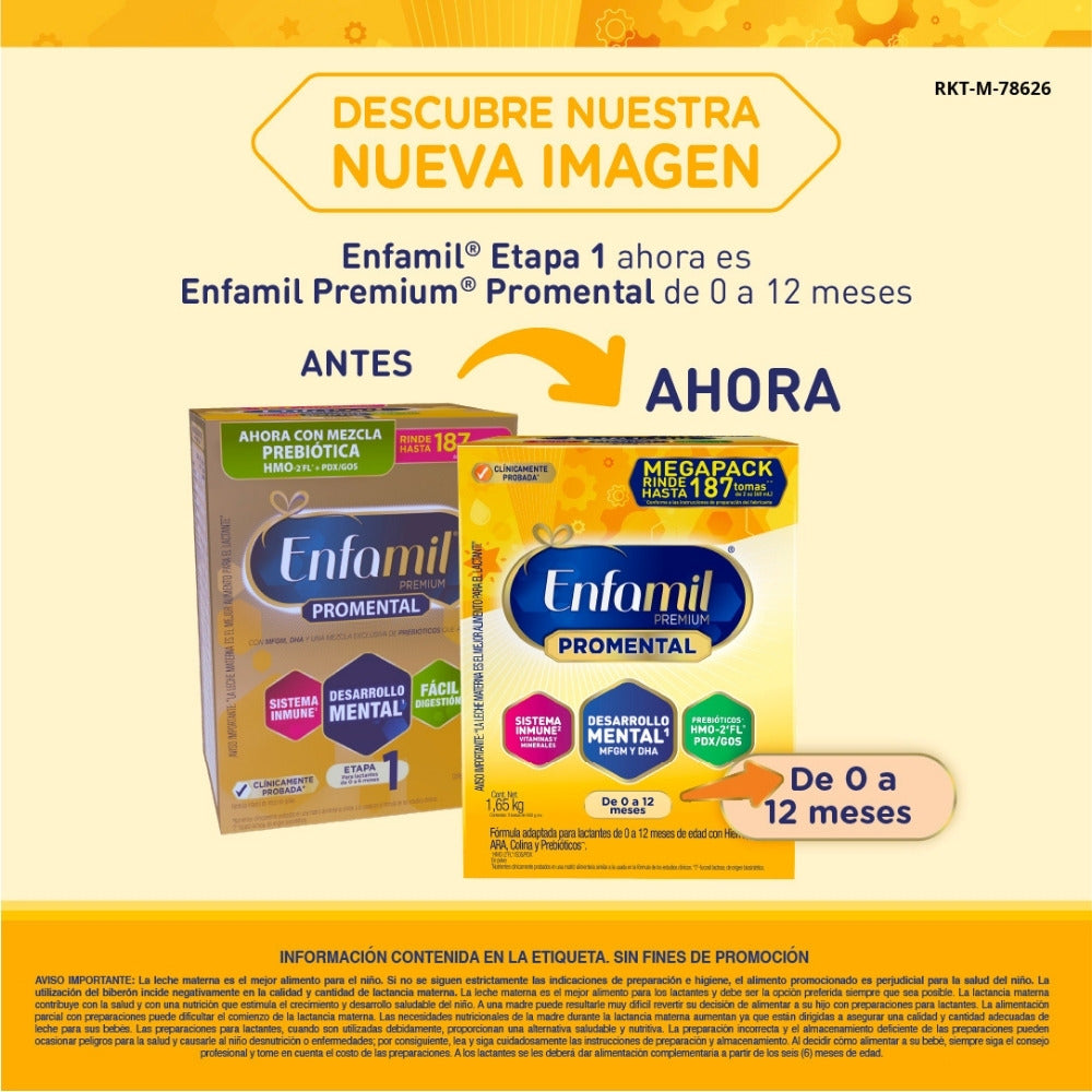 Imagen 5