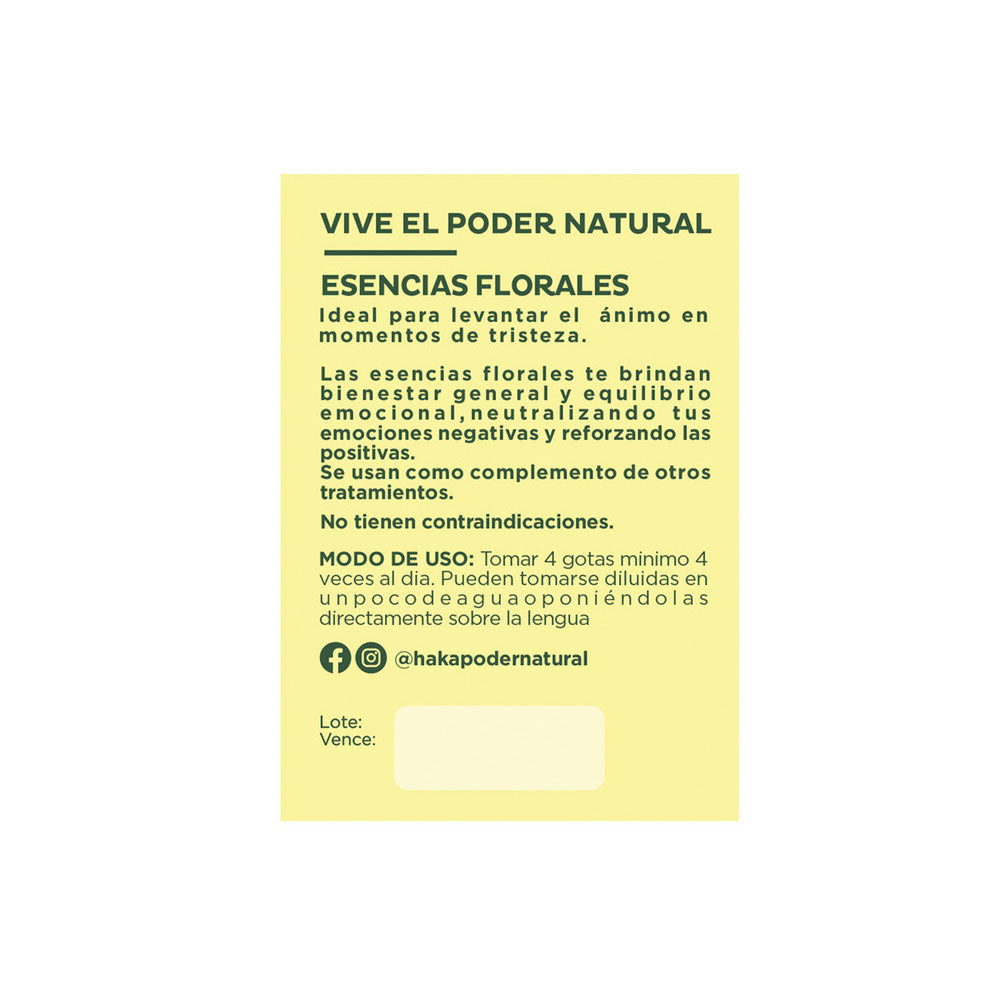 Imagen 2