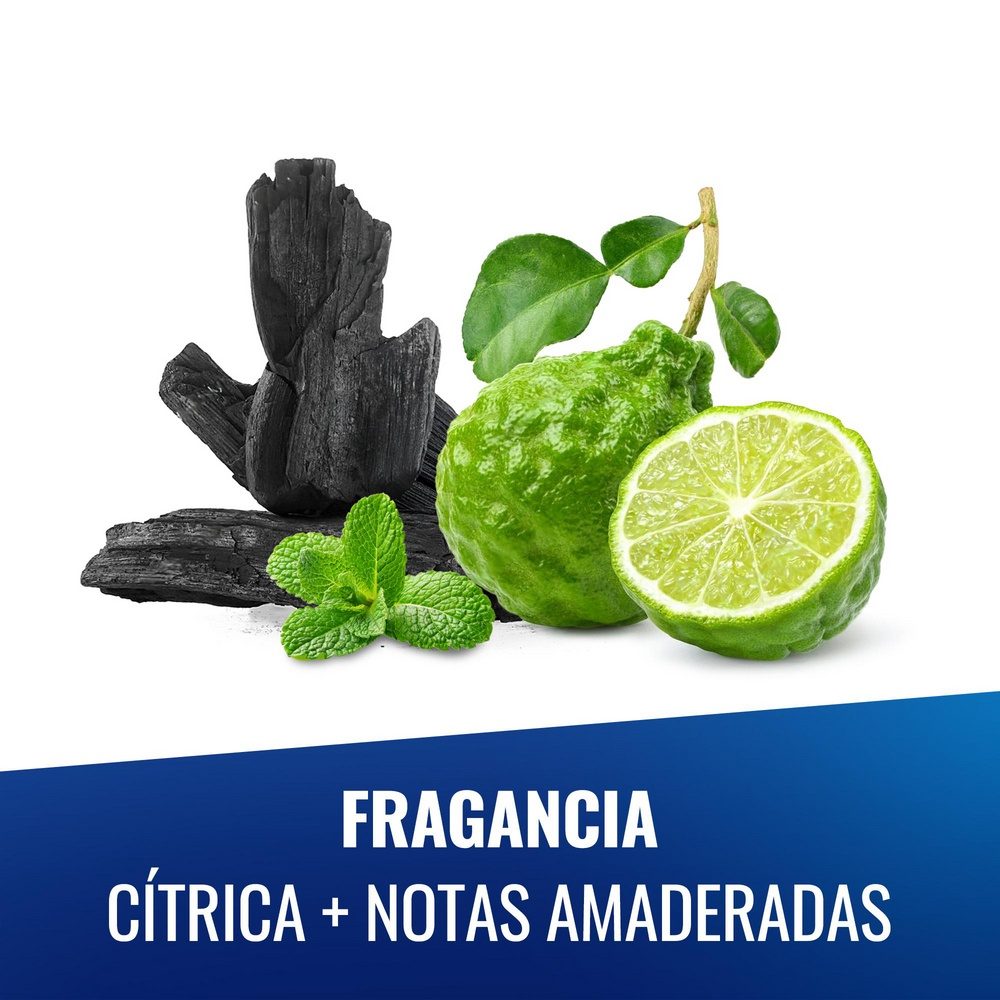 Imagen 5