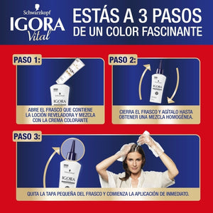 Imagen 2