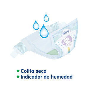 Imagen 3